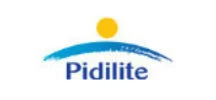 pidilite logo